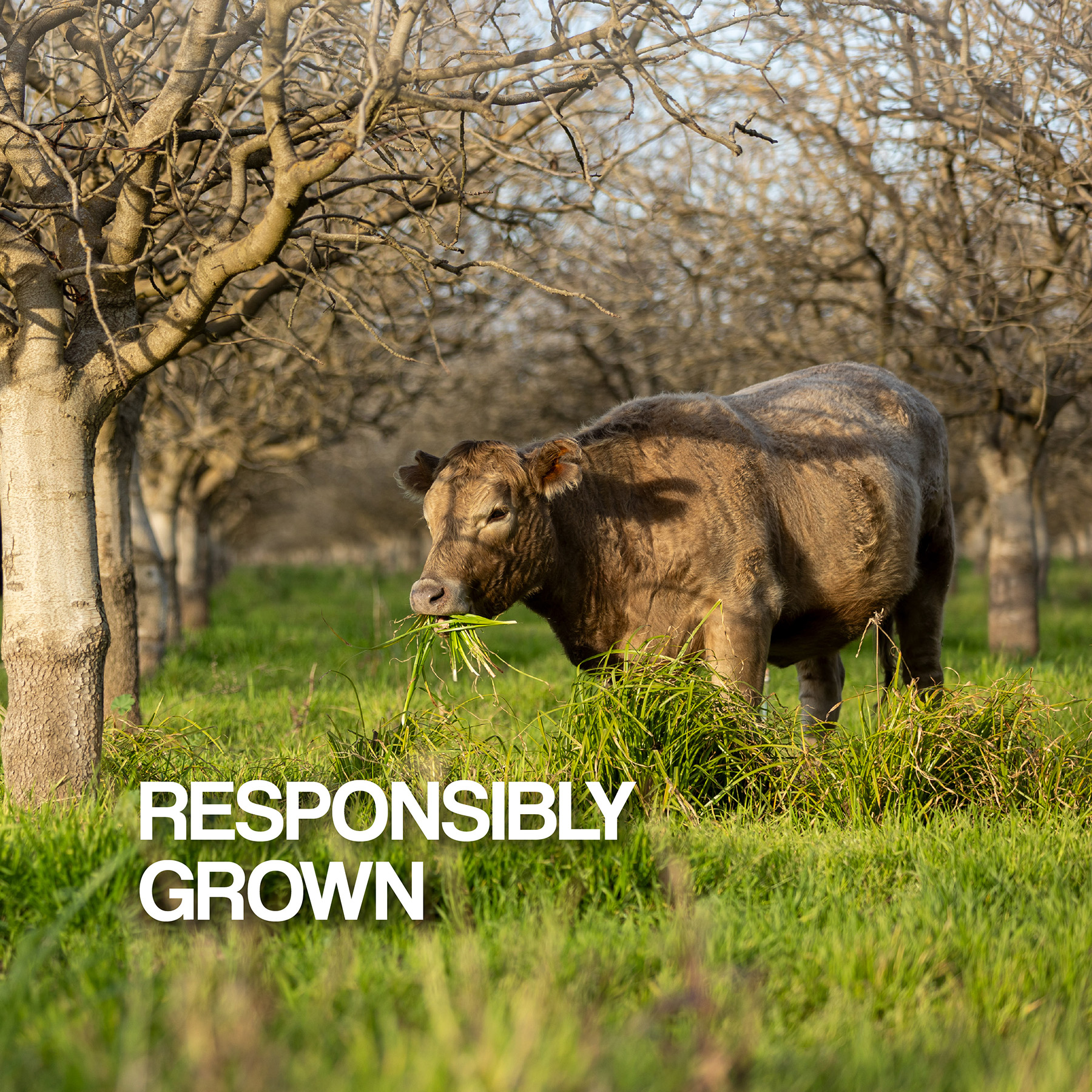Responsiby Grown
