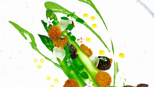 Asparagus Salad with Spinach and Pistachio Puree, Mango Gel, Morel Mushroom and Micro Herbs